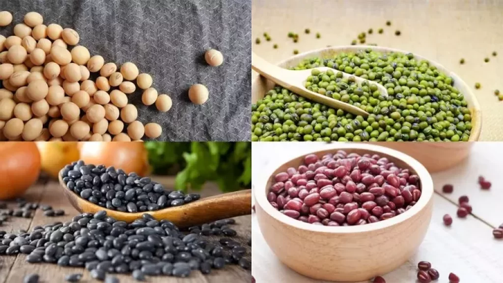 Các món từ đậu, đỗ rất dễ tiêu hóa