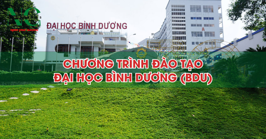Chương trình đào tạo trường Đại học Bình Dương