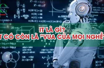 it la gi