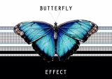 Hiệu ứng cánh bướm là gì? Áp dụng vào xây dựng những thói quen tốt
