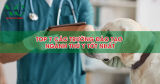 Top 7 các trường đào tạo ngành thú y đáng học nhất