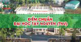 Điểm chuẩn Đại học Tây Nguyên (TNU) năm 2025