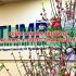 Điểm chuẩn Đại học Kỹ thuật Công nghiệp Thái Nguyên (TNUT) 2025
