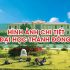 Trường Đại học Kỹ thuật Công nghệ Cần Thơ (CTUT) – Mã trường: KCC
