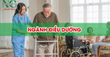 Ngành Điều Dưỡng: Học Gì? Ở Đâu? Ra Trường Làm Gì?