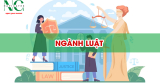Ngành Luật: Học Gì? Ở Đâu? Ra Trường Làm Gì?